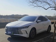 BYD Destroyer 2025