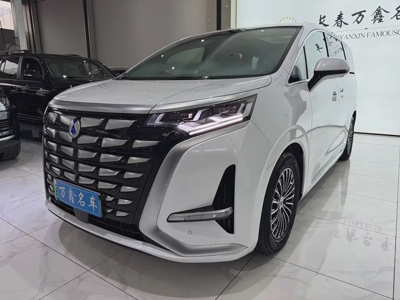 Denza D9