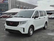 Wuling Hongguang 2023