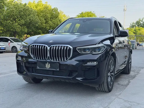 BMW X5 2019