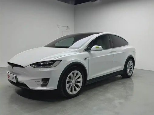 Tesla Model X 2019