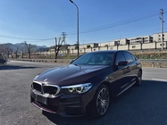 BMW 5 Series 2019