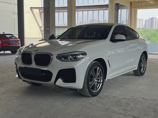BMW X4 2021