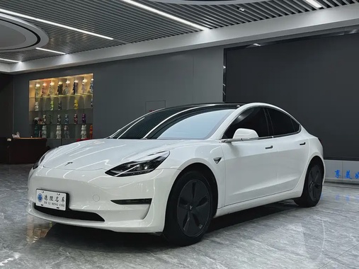 Tesla Model 3 2020