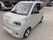 Wuling Mini 2024
