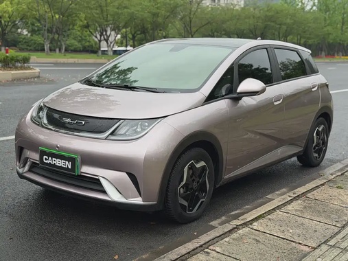 BYD Dolphin 2022