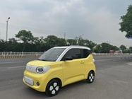 Wuling Mini 2024