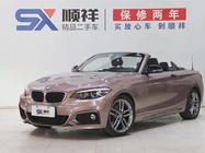 BMW 2 Series 2019