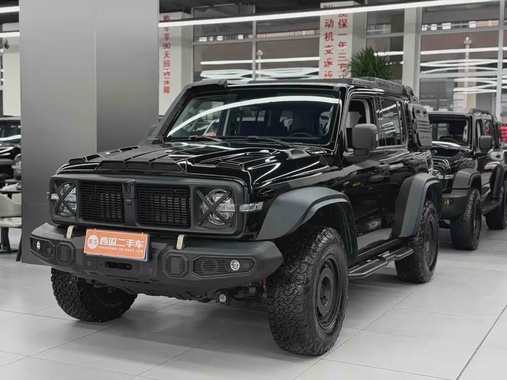 Tank 300 2024