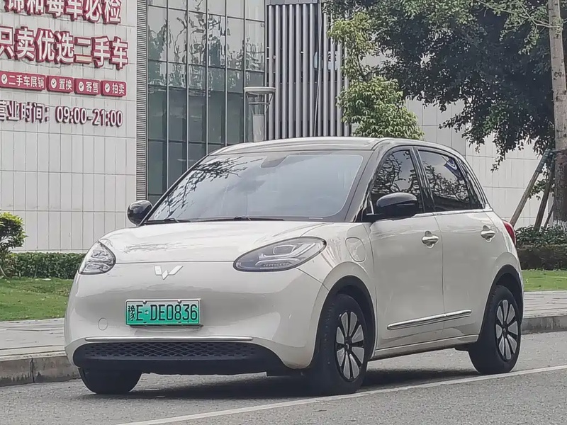 Wuling Bingo