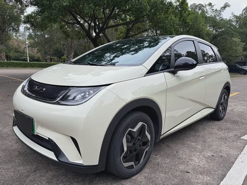 BYD Dolphin 2022