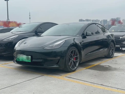 Tesla Model 3 2022