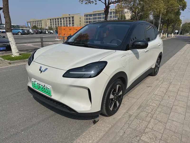 Wuling Bingo