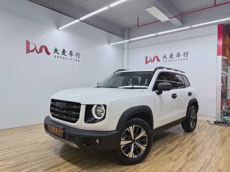 Haval Big Dog