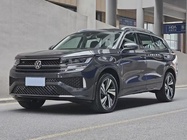 Volkswagen Tavendor 2024