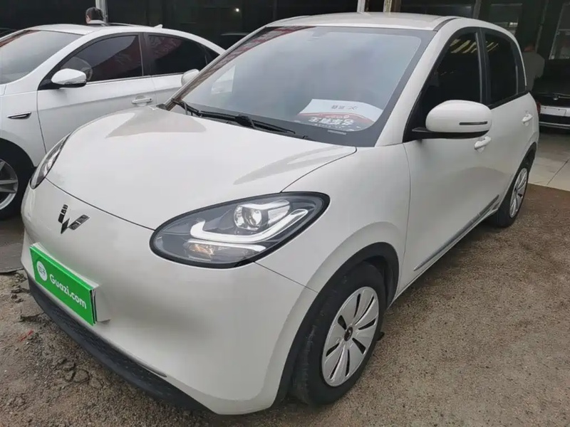 Wuling Bingo