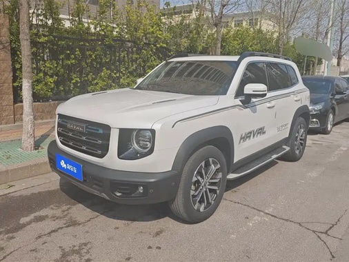 Haval Big Dog 2021