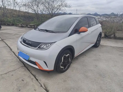 BYD Dolphin 2022