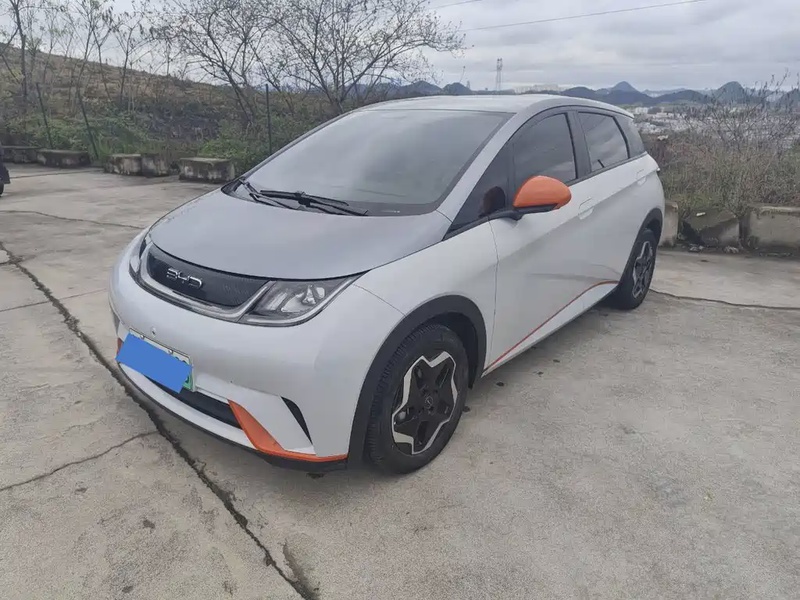 BYD Dolphin