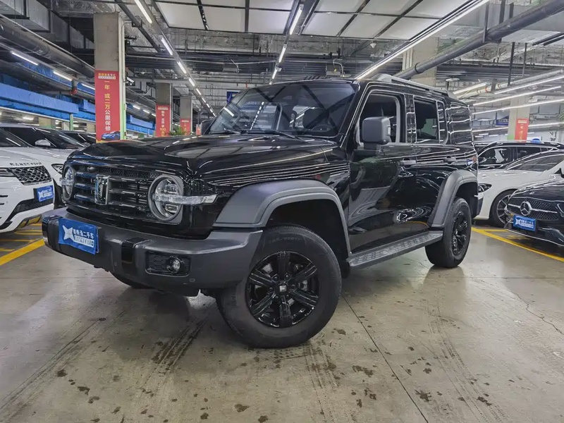 Tank 300