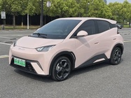 BYD Seagull 2024