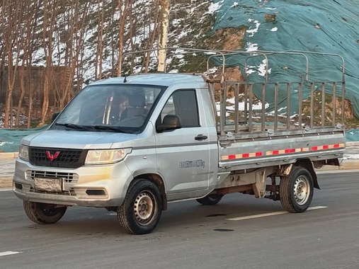 Wuling New Truck 2021