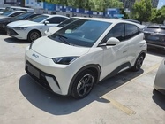 BYD Seagull 2024