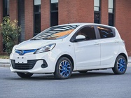 Changan EV 2019