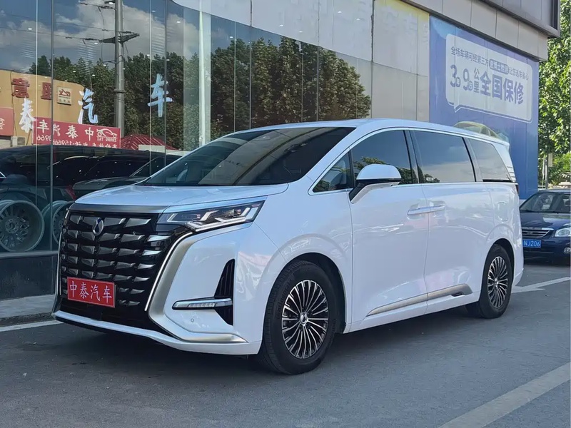 Denza D9