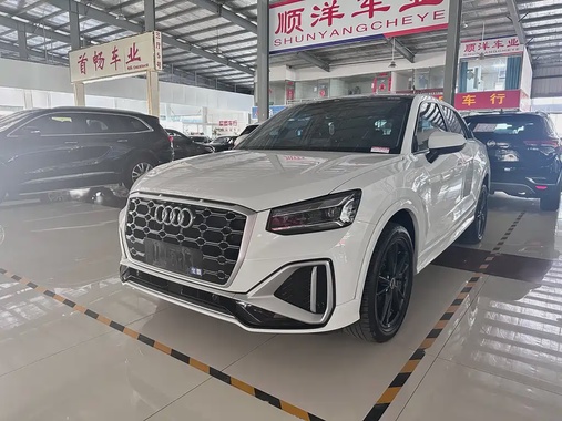 Audi Q2 e-tron 2024