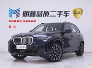 BMW X5 2025