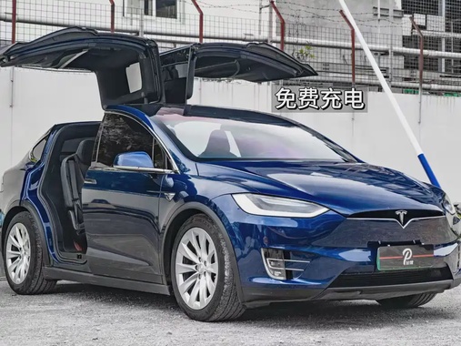Tesla Model X 2019