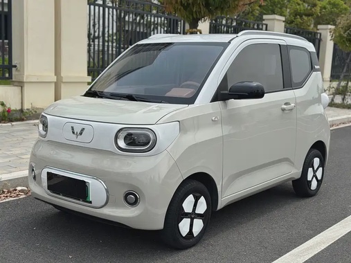 Wuling Mini 2024