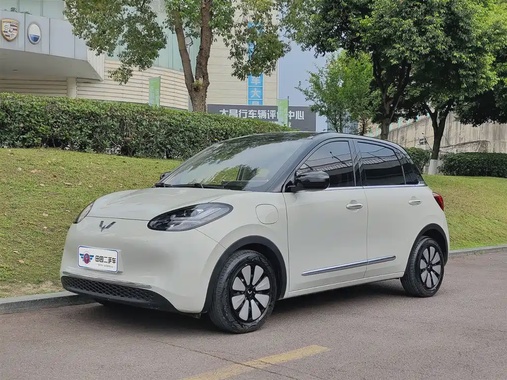 Wuling Bingo 2024
