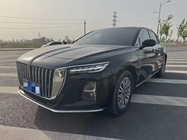 Hongqi H5 2025