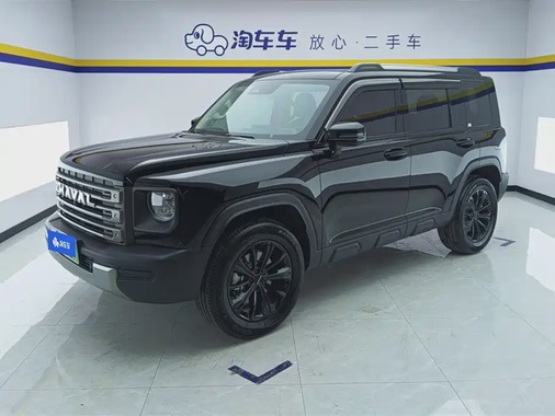 Haval Menglong 2024