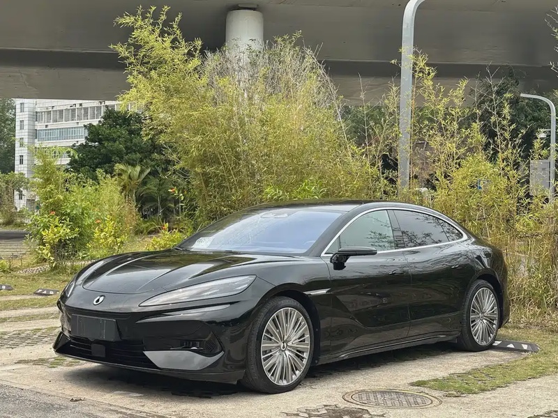Denza Z9