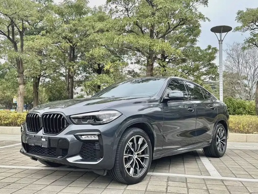 BMW X6 2021