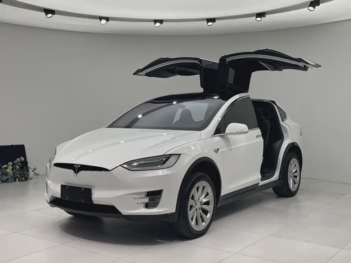 Tesla Model X 2020