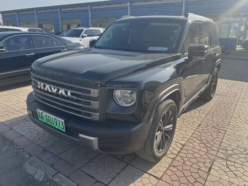 Haval Menglong 2024