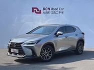Lexus NX 2022
