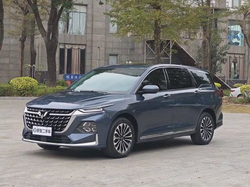 Wuling Victory 2024