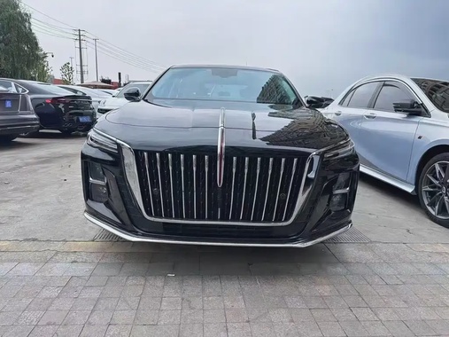Hongqi H5 2024
