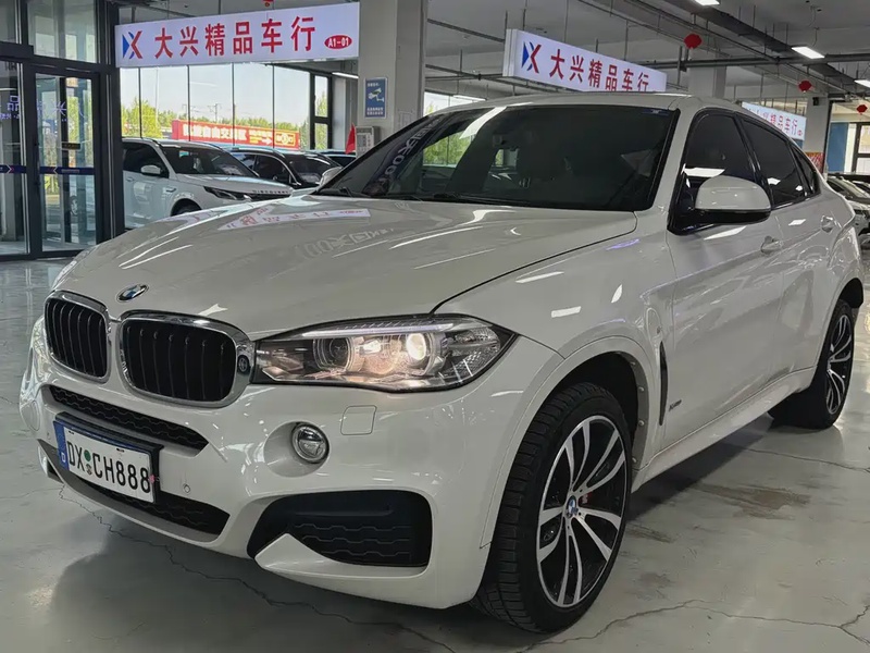 BMW X6