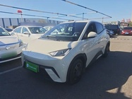 BYD Seagull 2024