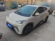 BYD Seagull 2024