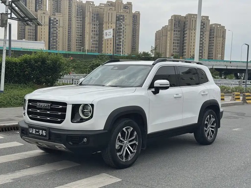 Haval Big Dog 2021