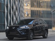 Toyota Wildlander 2024