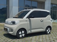 Wuling Mini 2024