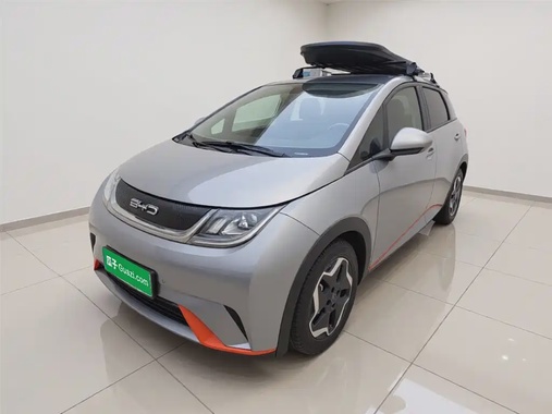 BYD Dolphin 2022